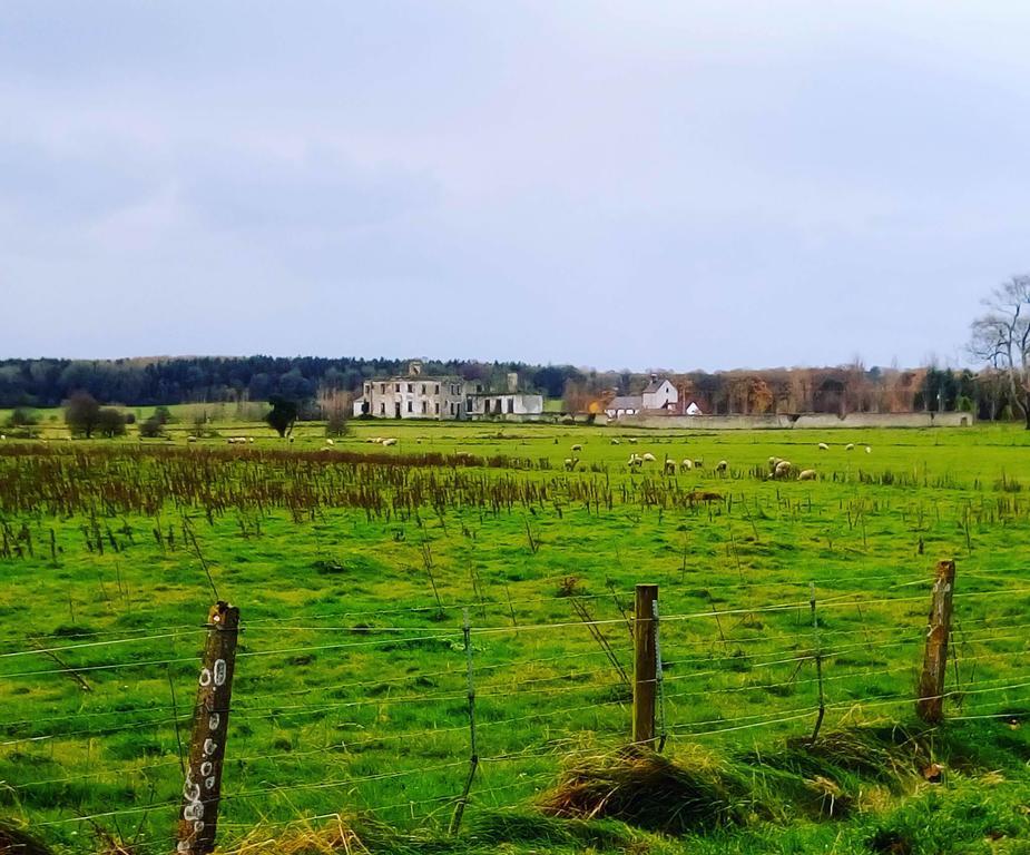 Hotel Galway Glamping Tuam Exteriér fotografie