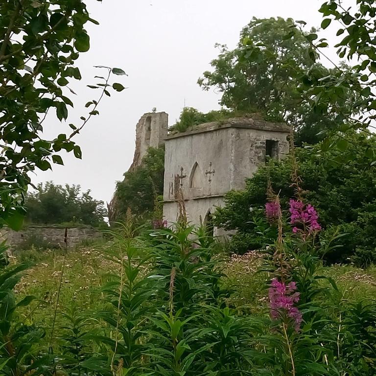 Hotel Galway Glamping Tuam Exteriér fotografie
