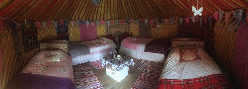 Hotel Galway Glamping Tuam Exteriér fotografie
